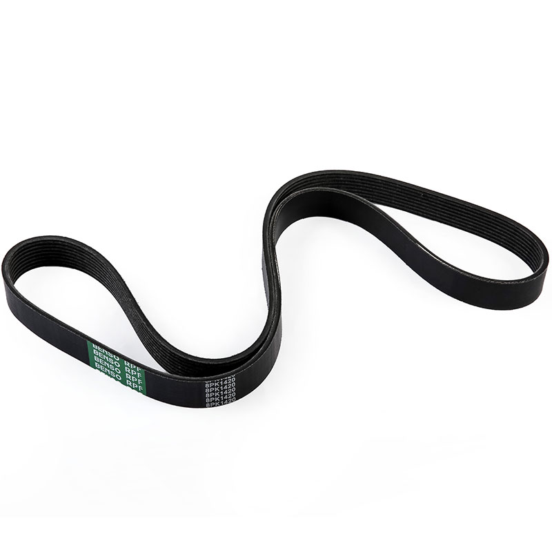 Compatible avec la ceinture d'éventail 11629 8PK1425