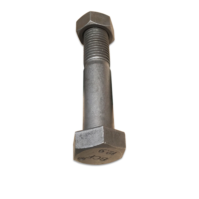 Compatible avec 14571 Bolt de dents