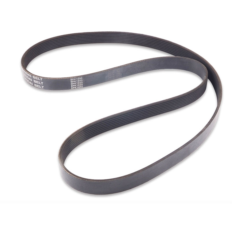 Compatible avec la ceinture d'éventail 8PK1650