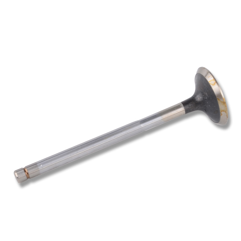 Compatible avec 24442 Robinet d'entra?nement