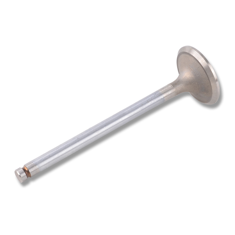 Compatible avec la vanne d'enclenchement 24446
