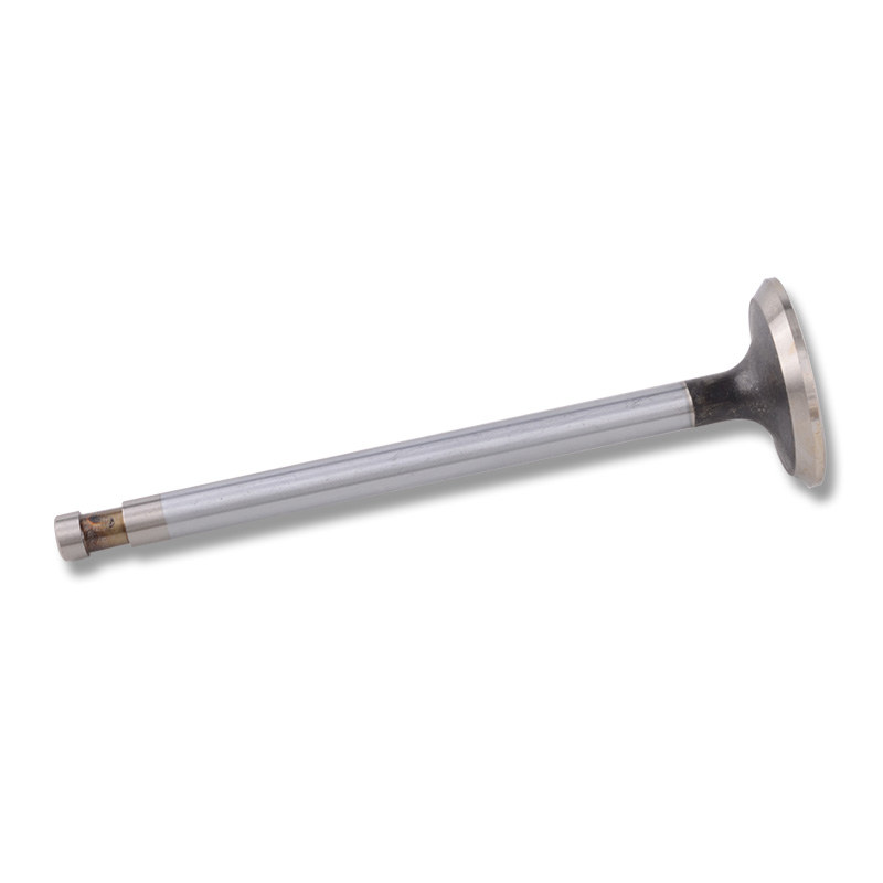 Compatible avec 24454 Robinet d'entra?nement