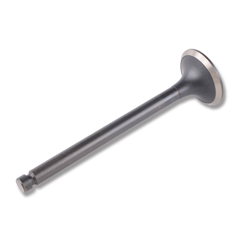 Compatible avec la valve 24476
