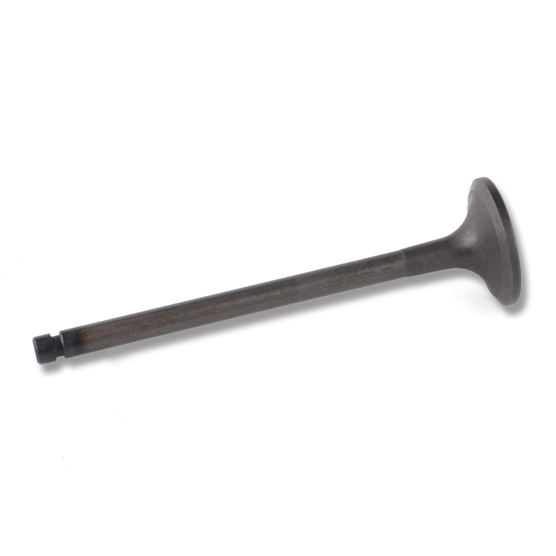 Compatible avec 24478 Valve d'Enging