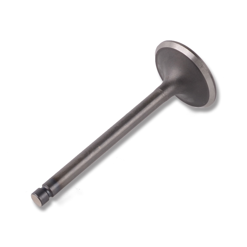 Compatible avec la valve 24481