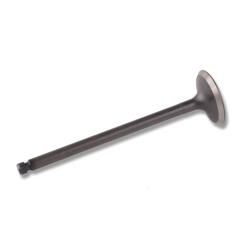 Compatible avec la valve 24483