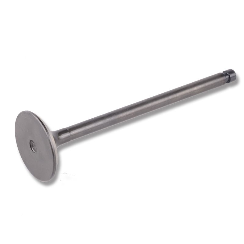Compatible avec 24484 Robinet d'entra?nement