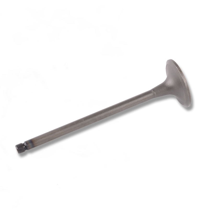 Compatible avec 24495 Robinet d'entra?nement