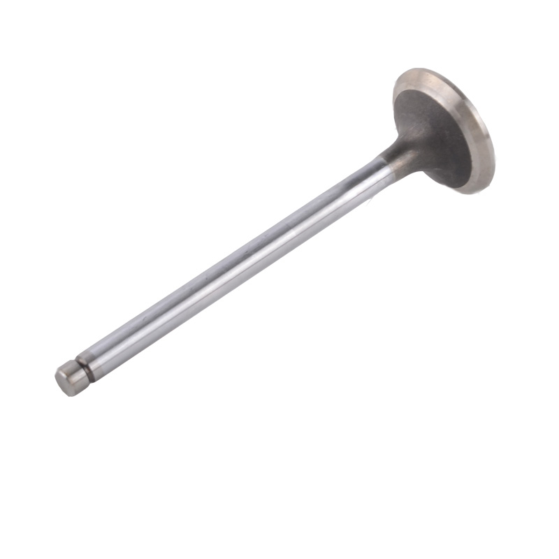 Compatible avec 24504 Robinet d'entra?nement