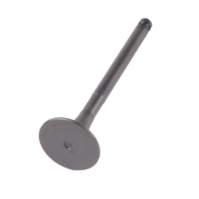 Compatible avec la valve 24516