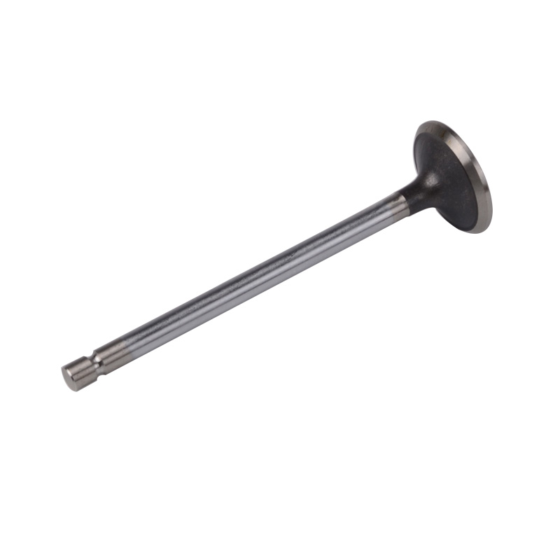 Compatible avec la valve 24538
