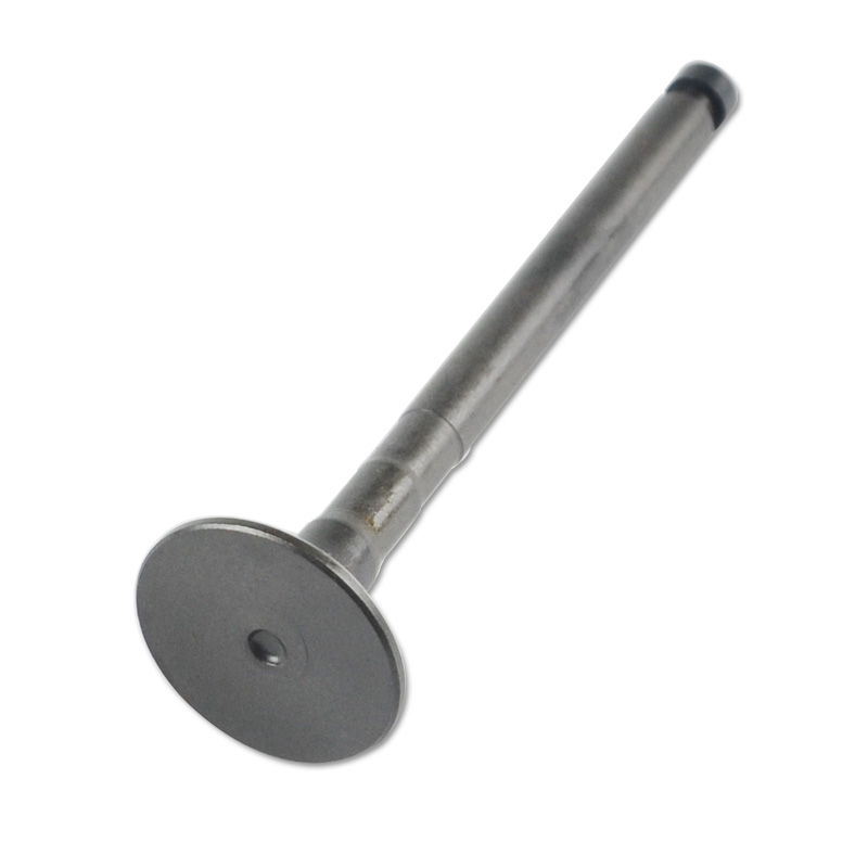 Compatible avec la valve 24586