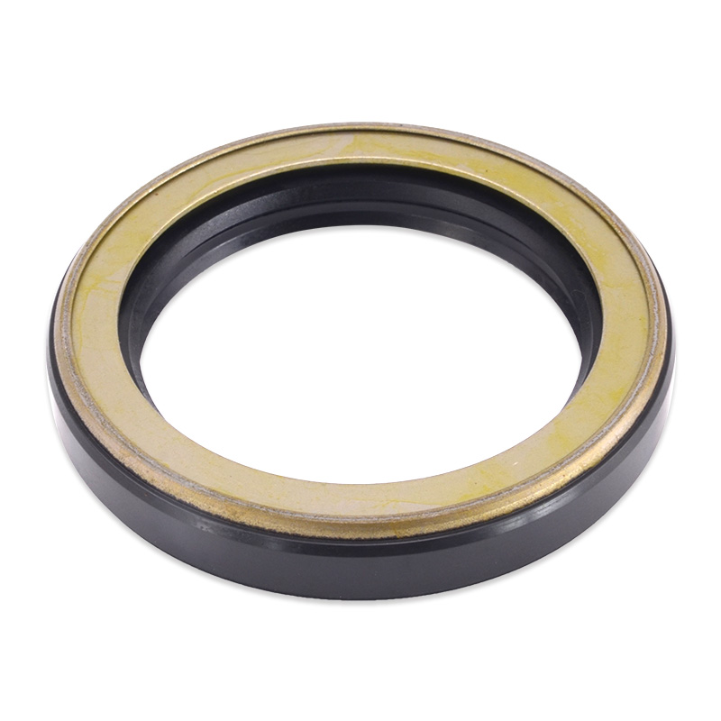 Compatible avec 25253 Squelette Oil Seal