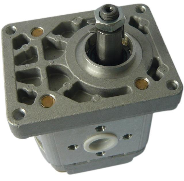Convient au tracteur - Nouveau Fiat 8273385 Pompe hydraulique 1901322 1930049 1930061 5129481 5179722 8273385