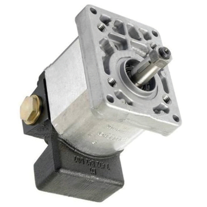 Remplacement parfait pour le tracteur CASE IH MXM130 MXM140 MXM155 MXM175 MXM190 MXM120 - Pompe hydraulique 318.33 CC 5180277 MXM130, MXM140, MXM155, MXM175, MXM190, MXM120