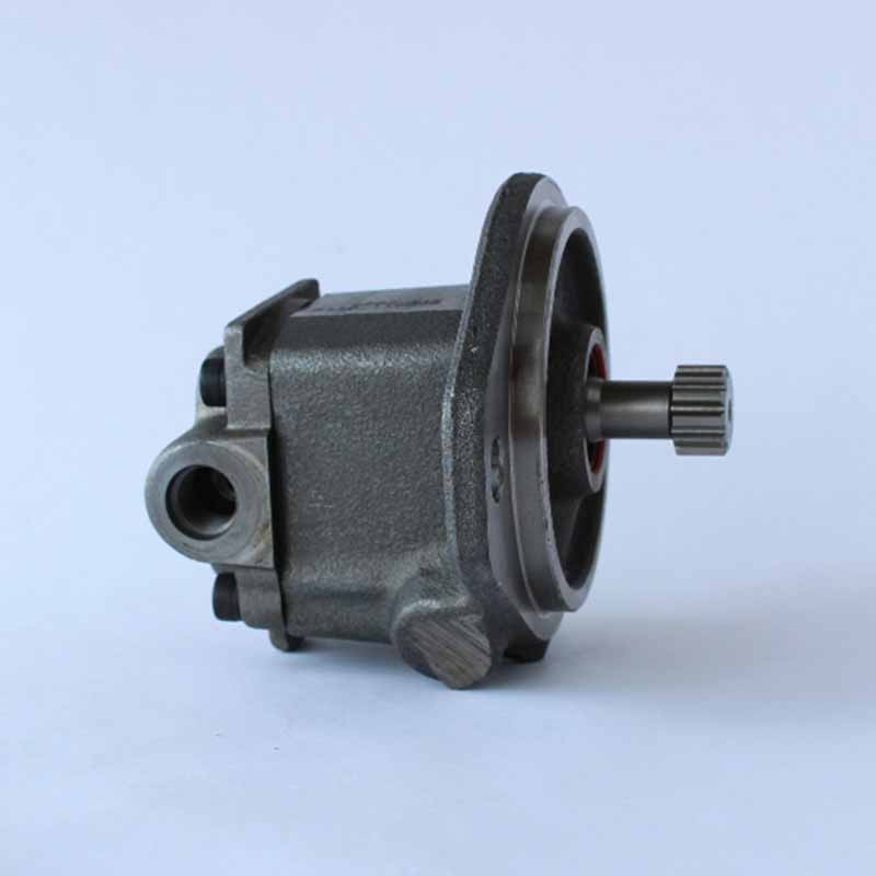 Adapté pour Perkins Type de moteur JGA06 JGB06 JGD06 JGW06 JGX06 JGY06 JGZ06 MGA06 MGB06 MGD06 MGE06 MGL06 - Pompe de levage KRP1721 KRP1679 KRP1555 CH10877