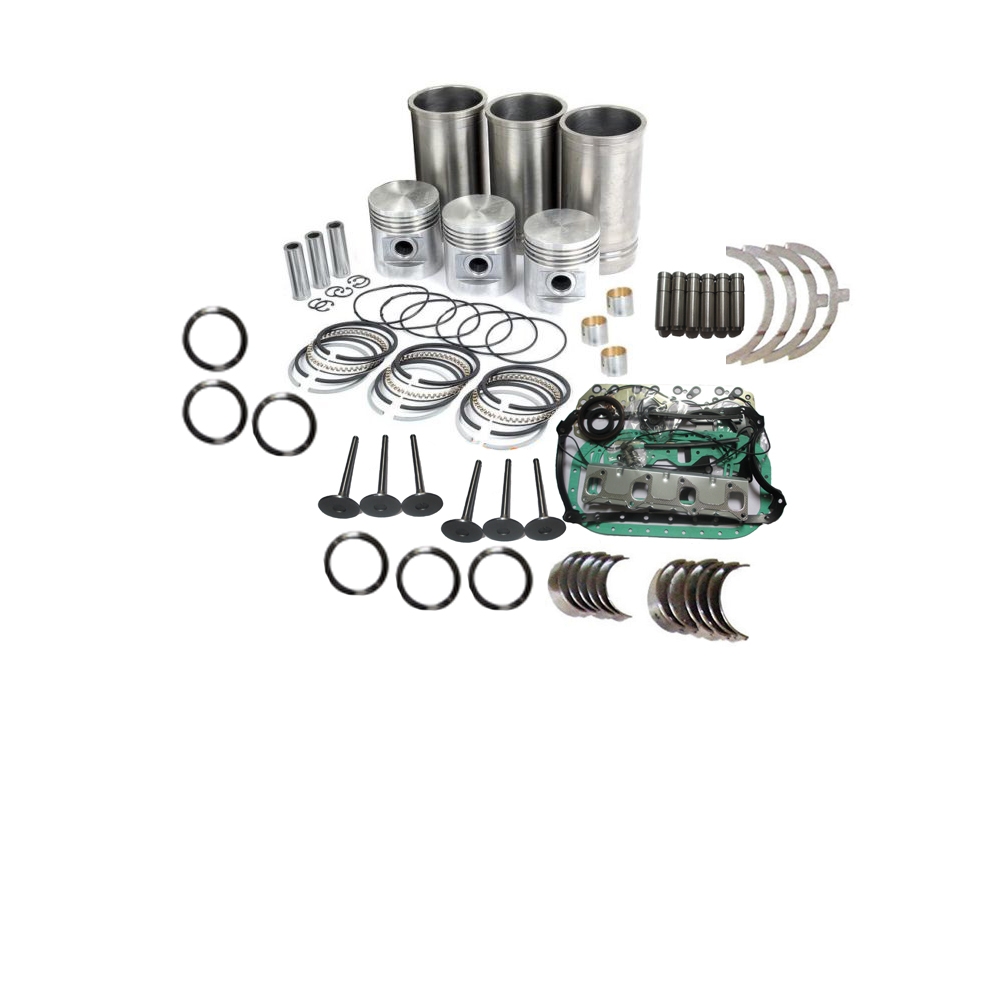Compatible avec Kubota D722 D722EBH D722E Réparation de l'excavatrice K008 du moteur - Kit de remise en état