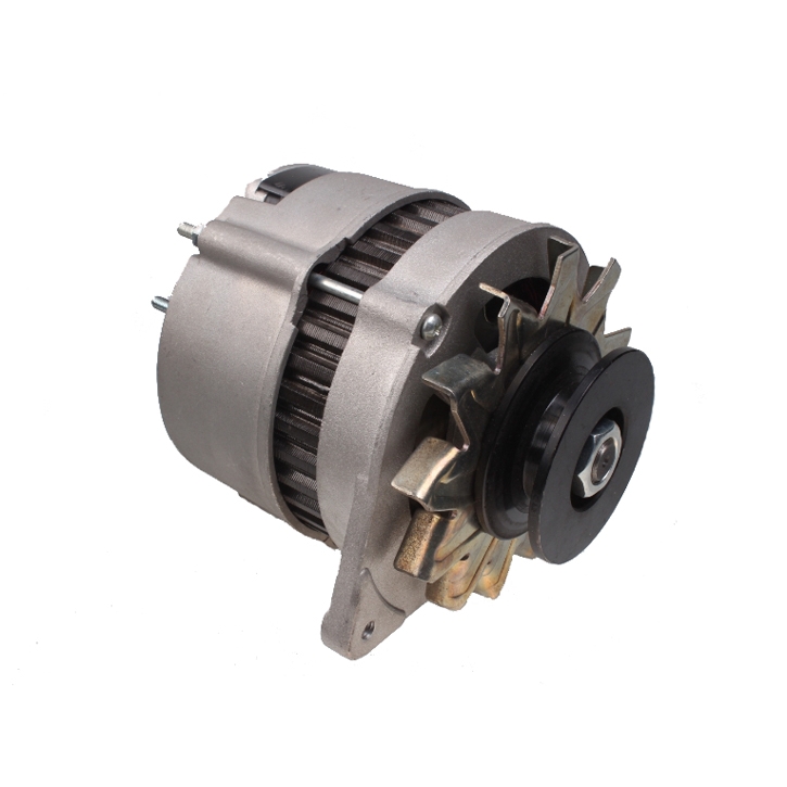 Compatible avec le moteur Perkins 1004-4 1006-6 Alternateur 2871A165 1004-4T 1004G 1004-40T 1004-40TW 1004-42 3.1524 903-27 903-27T 4.236 T4.236 4.41 T6.3544 1106C-E60TA 1006-6T 1006-6TW