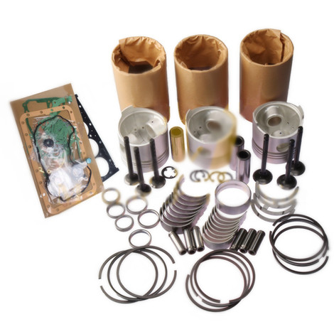 Fonctionne bien avec Kubota D662 D662-E D662-EB D662-E2B Moteur - MST Kit de réaménagement approprié pour